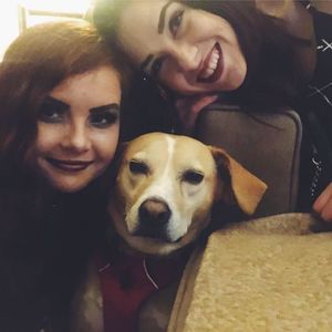 Meet your Posher, Ashley